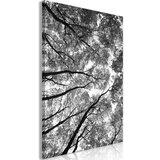  Slika - High Trees (1 Part) Vertical 40x60 | shoptok.hr