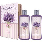 Bohemia Gifts & Cosmetics Book About Mom darilni set Cene