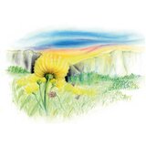  Pastela suha 24boja design journey staedtler 2430 c24 blister | shoptok.hr