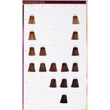 Wella Professionals Color Touch Deep Browns barva za lase odtenek 8/71 60 ml | Shoptok.si
