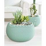 Splofy bowl p290 saksija ( 4166 )