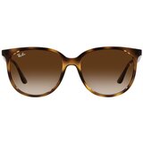 Ray-ban RB4378 710/13 ONE SIZE (54) Havana/Rjava | Shoptok.si