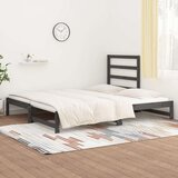  Izvlečna dnevna postelja siva 2x(90x200) cm trdna borovina, (20727138) | Shoptok.si