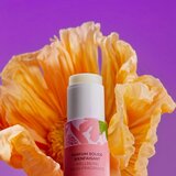 Roger & Gallet Fleur de Figuier Wellbeing Solid Fragrance trdi parfum za ženske 5 g | Shoptok.si