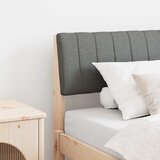  Tapecirani uzglavlje Tamno siva 100 cm Čvrsto borovo drvo | shoptok.hr
