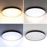  Brilagi -LED prigušiva. stropna svetiljka CALA LED/60W/230V 3000-6500K preč. 58 cm+DO | Eponuda.com
