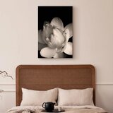  Slika - Delicacy of Petals in Nature (1-part) - Flower in Black and White 60x90 | shoptok.hr