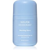 Haan Deodorant Morning Glory dezodorant roll-on brez vsebnosti aluminija 40 ml Cene