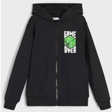 Sinsay Hoodie s tiskom Minecraft | shoptok.hr