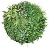 STIL Dekoracija za vrt umjetni vertikalni vrt u okviru FI 80 cm beauty secret CCGA110V028 Cijene