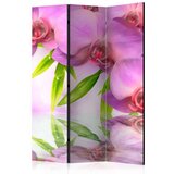  Paravan u 3 dijela - Orchid Spa [Room Dividers] 135x172 | shoptok.hr