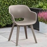  Stolica Akola | Eponuda.com
