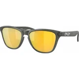 Oakley Frogskins XS 90063753 Matte Grey Smoke/Prizm 24K Polar Lifestyle očala