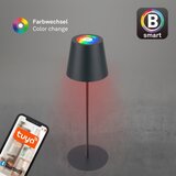 BRILONER 7559015-LED RGB stona lampa COLORIS 3,5W/5V IP44 2000mAh Wi-Fi Tuya | Eponuda.com