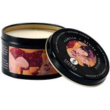 Shunga Erotic Art masažna sveča shunga desire & vanilla, 200 ml, (21597660) Cene