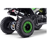 Beneo Dječji quad Explorer, benzinski 50cc, zeleni | Shoptok.si