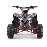 Beneo Otroški štirikolesnik Motors ZXY rdeča - 125cc | Shoptok.si