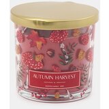 Sinsay Svijeća Autumn Harvest | shoptok.hr