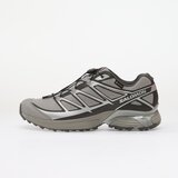 Salomon Modne superge Xt Pathway Gtx Srebrna Cene