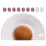 Illy zrno 250 gr INTENSO | Eponuda.com