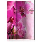 Artgeist PARAVAN 135/172/3 cm pink | Shoptok.si