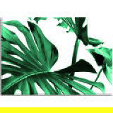 Pintdecor Zidni ukras Dettaglio Pintdecor Zidni ukras Dettaglio Slike