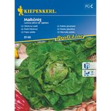 KIEPENKERL Glavnata solata Maikönig Kiepenkerl (Lactuca sativa var. capitata) Cene