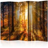  Paravan u 5 dijelova - Autumn Awakening II [Room Dividers] 225x172 Cijene