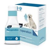 Viyo recuperation tečna veterinarska dijeta dog 4x150ml + 4x150ml gratis!
