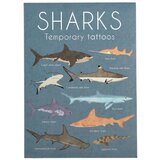 REX International Sharks - Privremena tetovaža - Shark | Eponuda.com