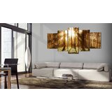  Slika - Forest Illumination 200x100 | shoptok.hr