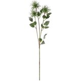 Eglo 428363 - Veštačka biljka ETAYA 76,5 cm, zelena Cene