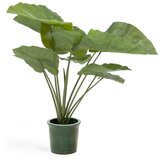 Kave Home Umetna rastlina (višina 57 cm) Odora – | Shoptok.si