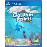 Spirit Ocean Mission (PS4)