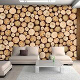  Tapeta - In sawmill 100x70 Cijene