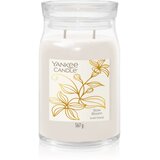 Yankee Candle Little Luxuries Slow Bloom dišeča sveča 567 g | Shoptok.si