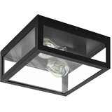 Eglo Amezola zidna/plafonjera/2, e27, ip44, crna/čelik/staklo | Eponuda.com
