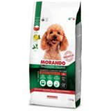 Morando Tradizioni Adult Mini govedina, grah in pesa 1,5 kg Cene