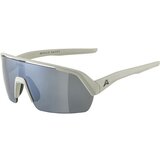 Alpina Turbo HR Cool/Grey Matt/Black | shoptok.hr