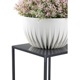  Stalak za cveće 40x24 cm antracit | Eponuda.com