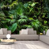  Samoljepljiva foto tapeta - Sunny Jungle 147x105 Cijene