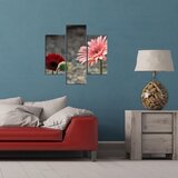 Wallity Set slika 3MDF-098, 3 Dela | ePonuda.com