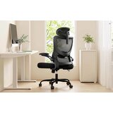 Huanuo MSOC10 ergonomska uredska stolica črna s 3D naslonima za roke Cene