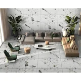 end satvario advance 60x120cm