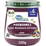 BIO večerna kaša - jabolko in borovnica z ovsom | Shoptok.si