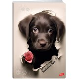 Teka MEKI UVEZ A4 KARO 40 PLUS 2L 80G PEEKABOO PETS ELISA | Shoptok.si