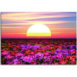 Pintdecor Zidni ukras Tramonto tra i fiori Cijene