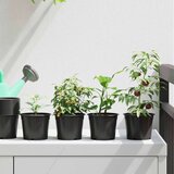  Lonac za cvijeće 50 pcs Crna Ø 15 x 12.5 cm Plastika | shoptok.hr