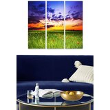 Wallity Set slika MDF84120028, 3 dijela | Eponuda.ba
