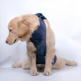 INF Pas za dvigovanje in oporo za starejše pse XS, (5000124482) | Shoptok.si